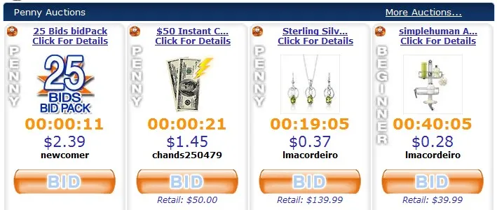 Zeekler Penny Auction Review 2011